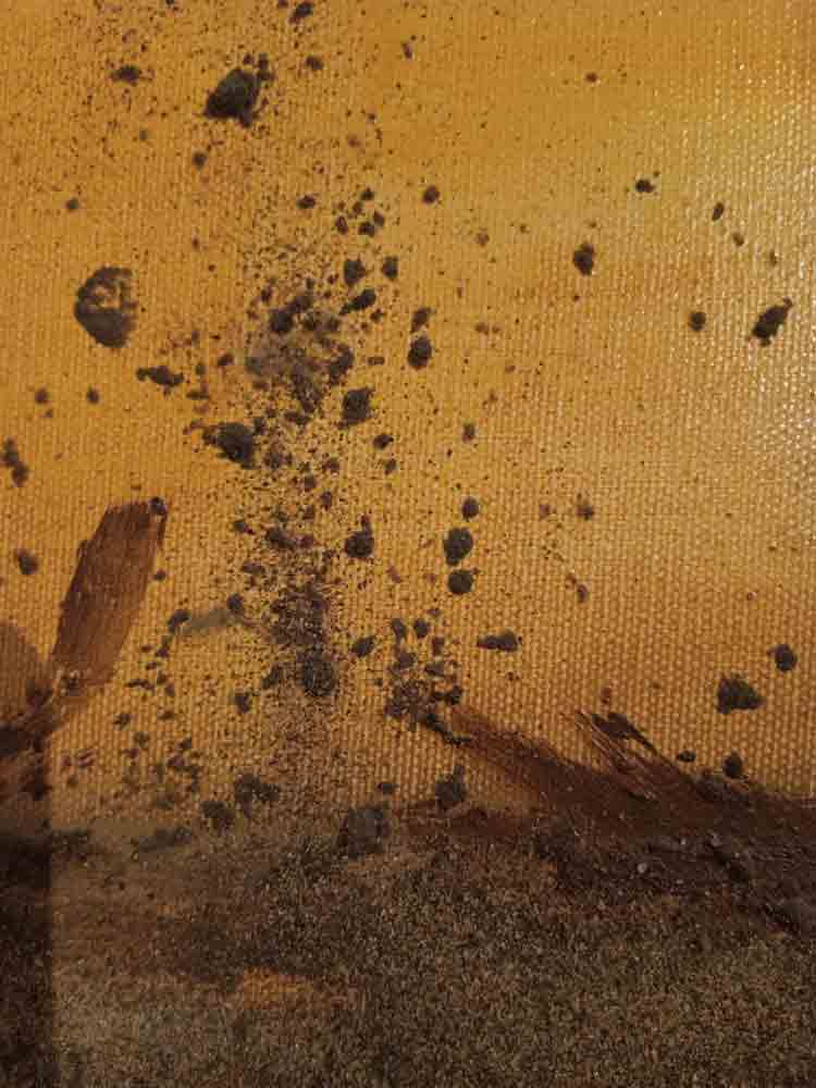 Color Splash – Bild 2