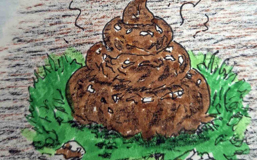 💩 Ois im Oasch – Was ist bloß mit unserer Gesellschaft los?