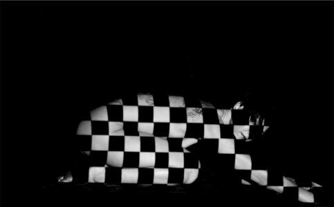 Schwarz-Weiß Kunst Gobo Modernes Kunstbild eines abstrakten Schachbrettstil