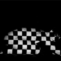 Schwarz-Weiß Kunst Gobo Modernes Kunstbild eines abstrakten Schachbrettstil